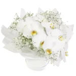 Цветы в коробке Цветные кисти