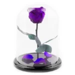 Роза в колбе сиреневая №3